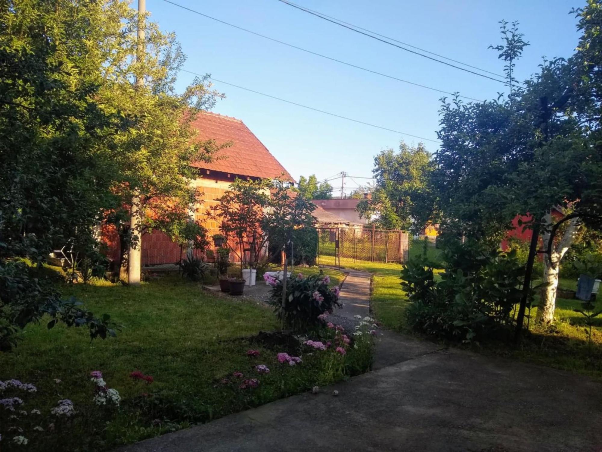 Kuca Glogovaca Apartment Vrnjci Exterior photo